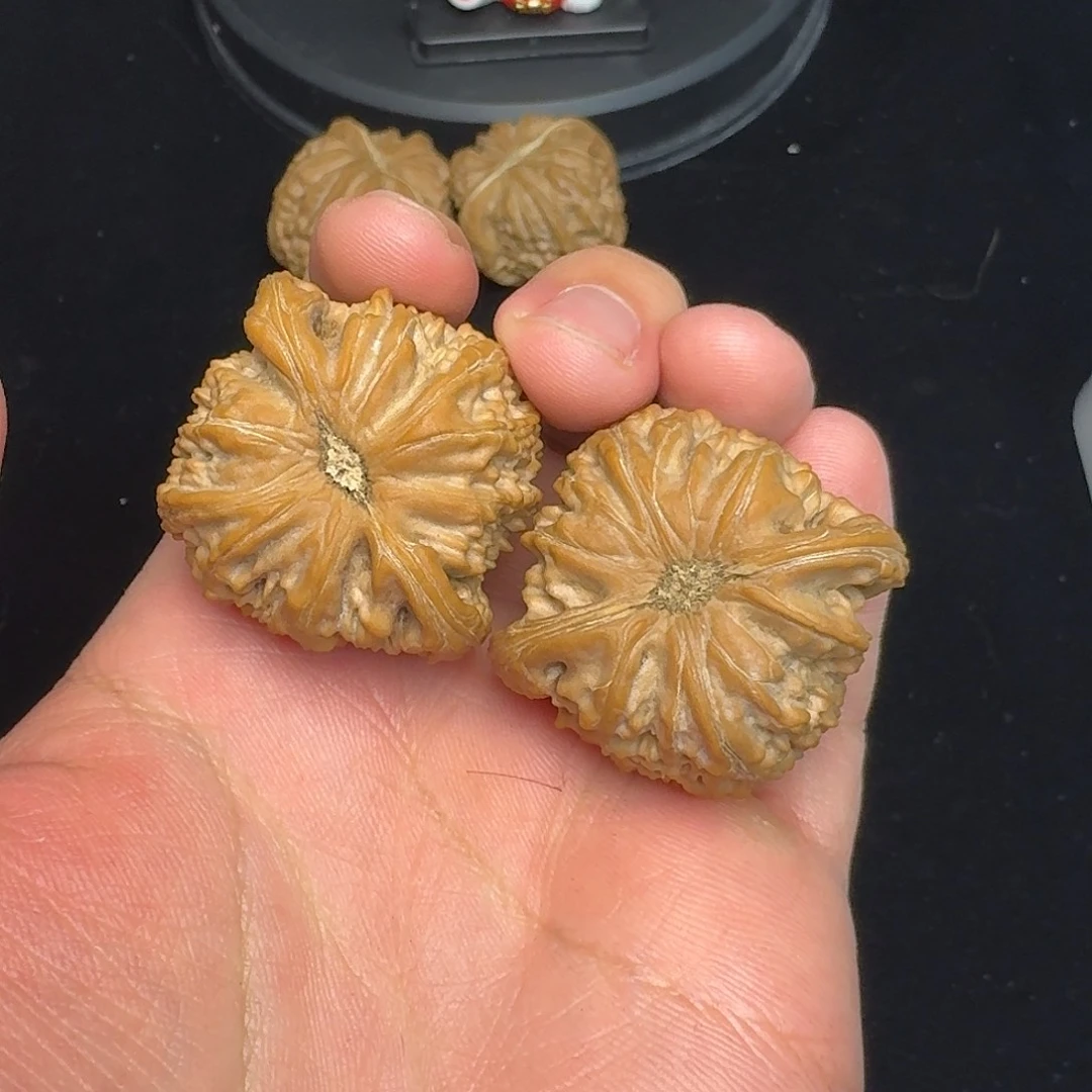 雷***乐文玩核桃吊坠白狮子