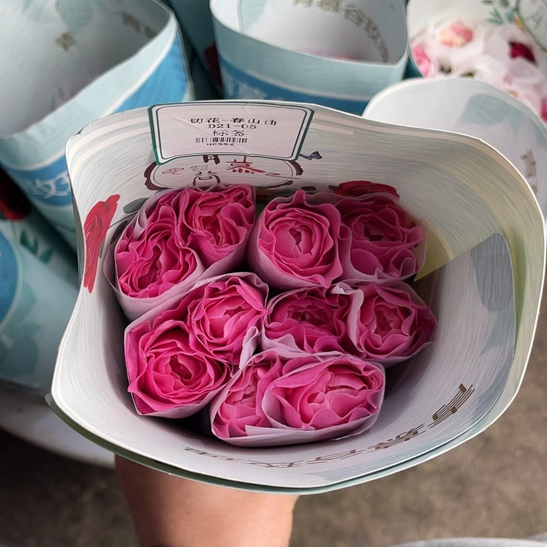 全部花苞青幕谷（春山曲）一扎