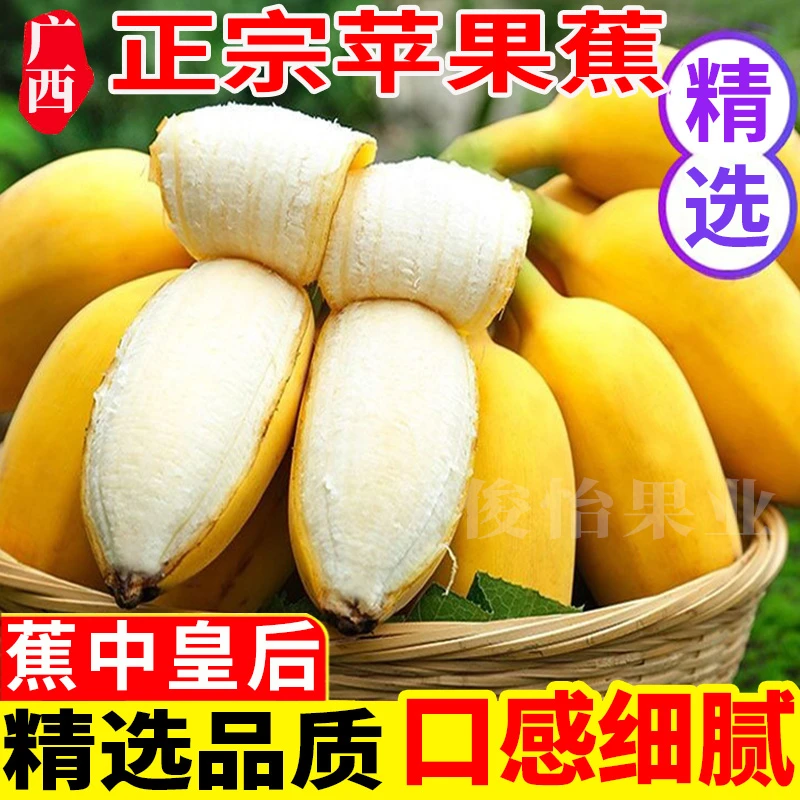 正宗广西苹果蕉现摘现发3/5斤产地发香甜软糯自然熟新鲜水果香蕉