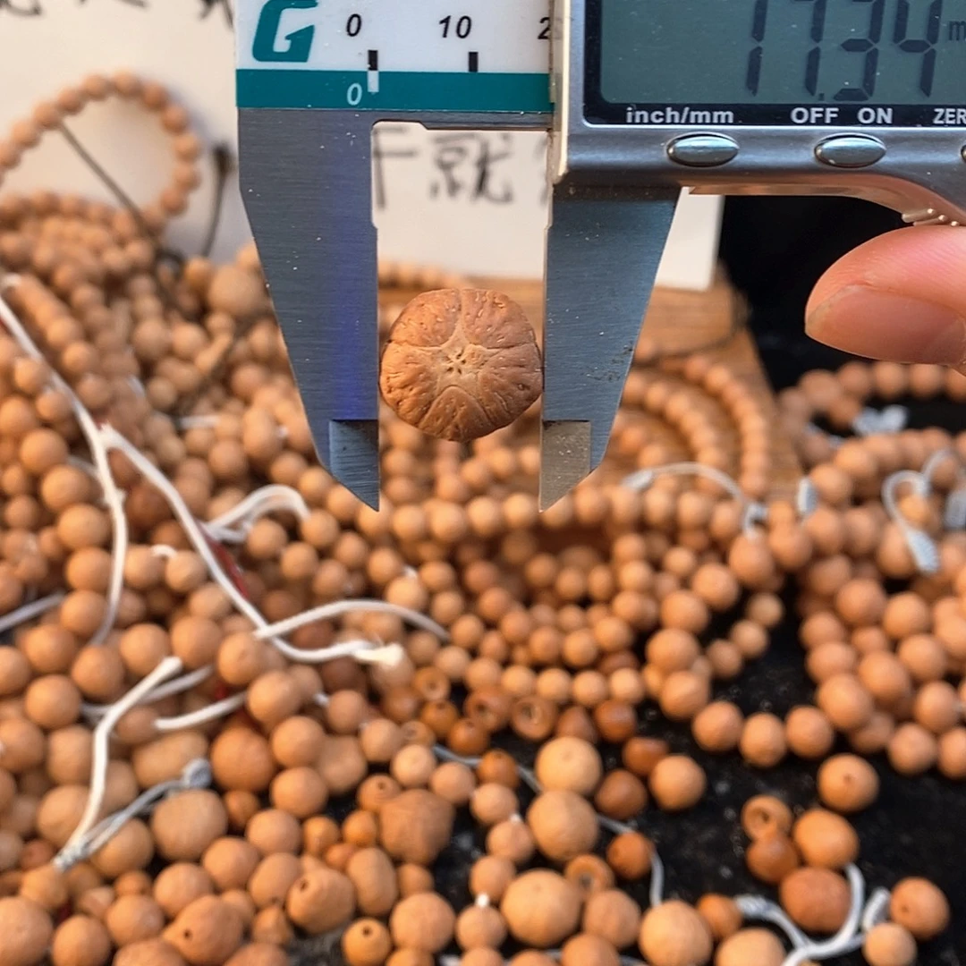 吊坠凤眼菩提7186