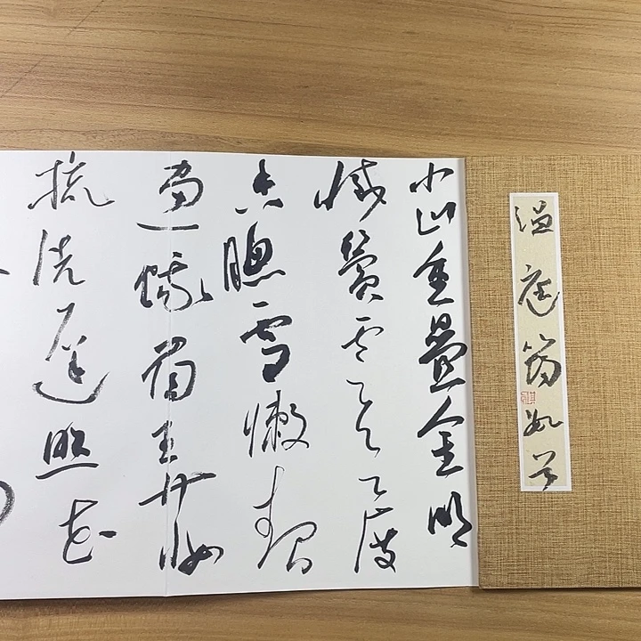 书法中书协会员作品