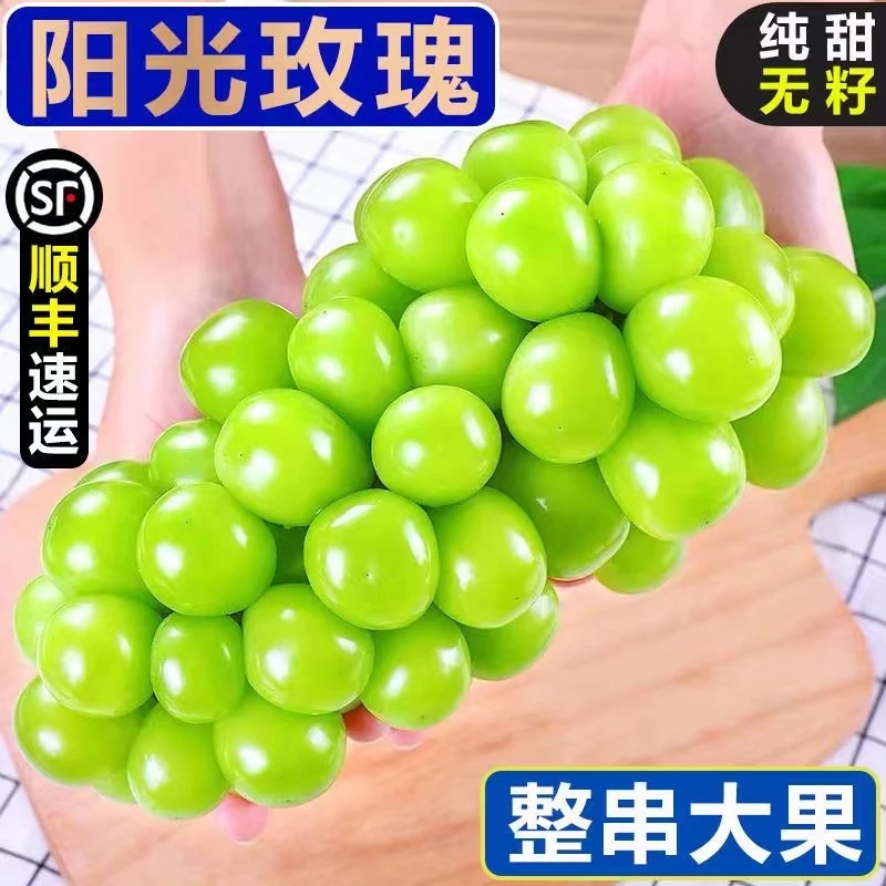 顺丰冷链西昌阳光玫瑰葡萄整串晴王无籽提子现摘香印青提子香葡萄