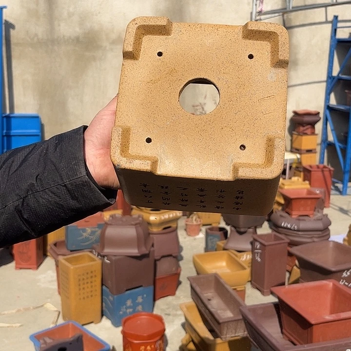 紫砂花盆紫砂花茶