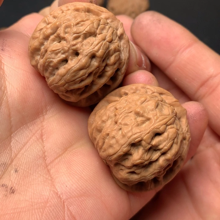 文玩核桃把件35佛度28