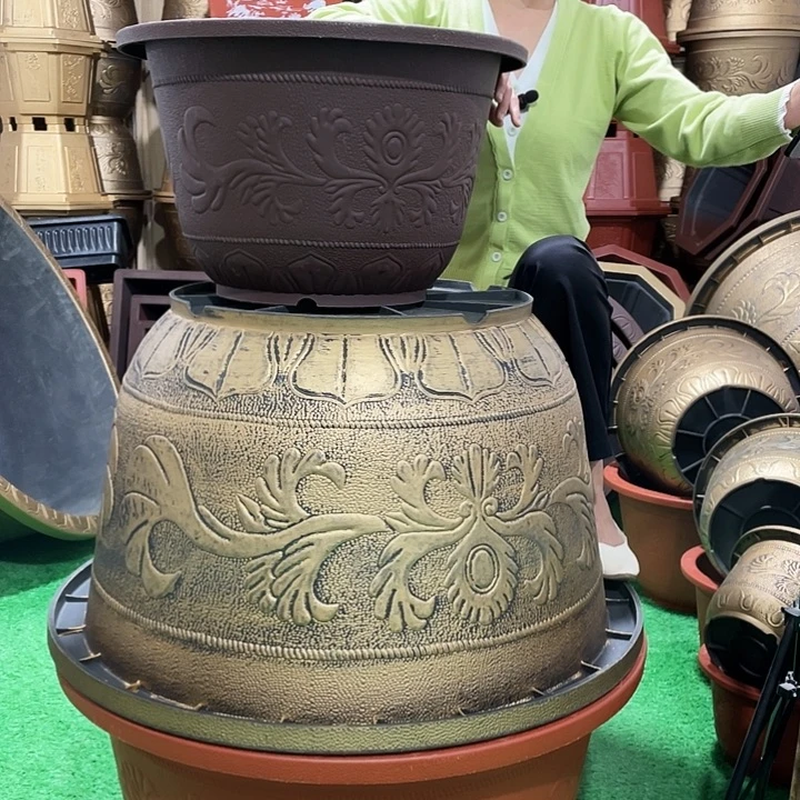 圆盆紫砂五零两个