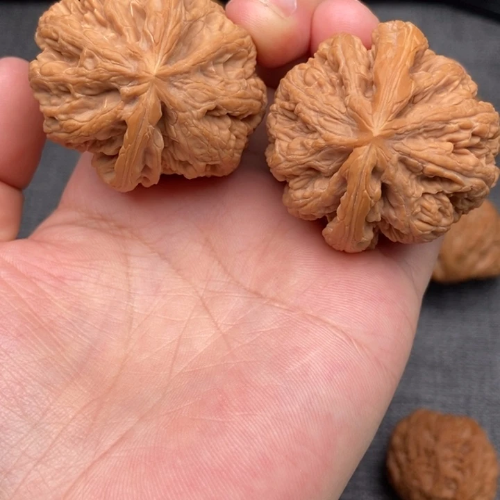 文玩核桃把件粗筋42