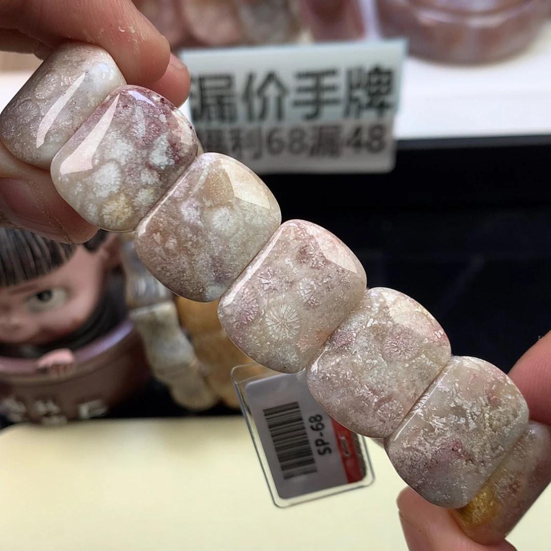 【闪购商品】颈饰未镶嵌硅化珊瑚（珊瑚玉）14号紫彩沙沙料