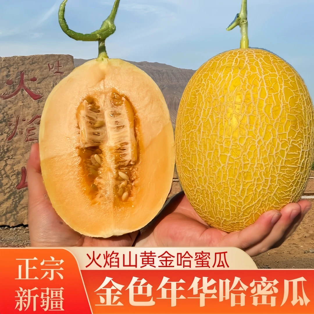 【新疆空运十斤装】新疆正宗金色年华哈密瓜新鲜应季脆甜多汁水果