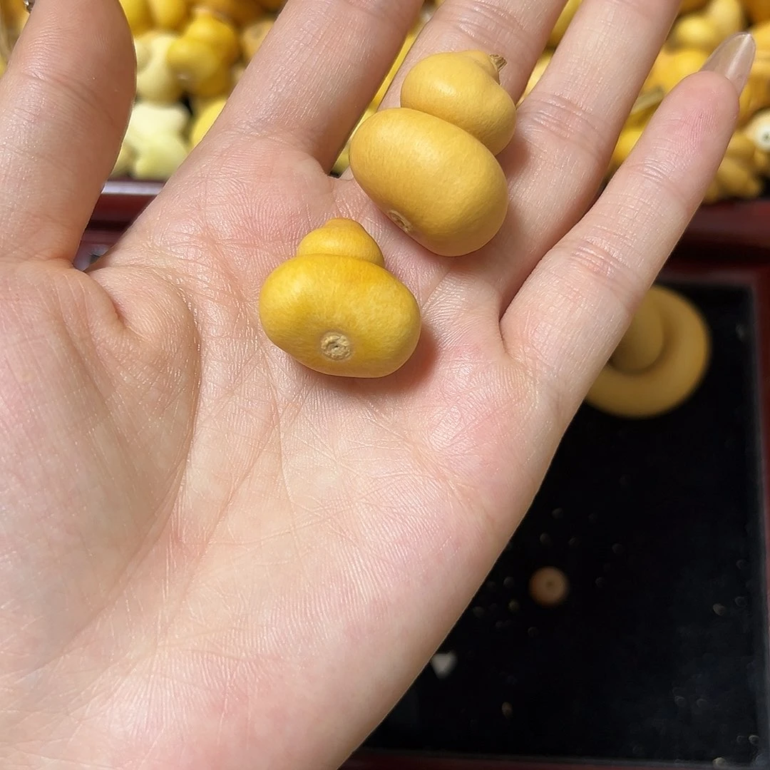 @*葫芦葫芦葫芦葫芦