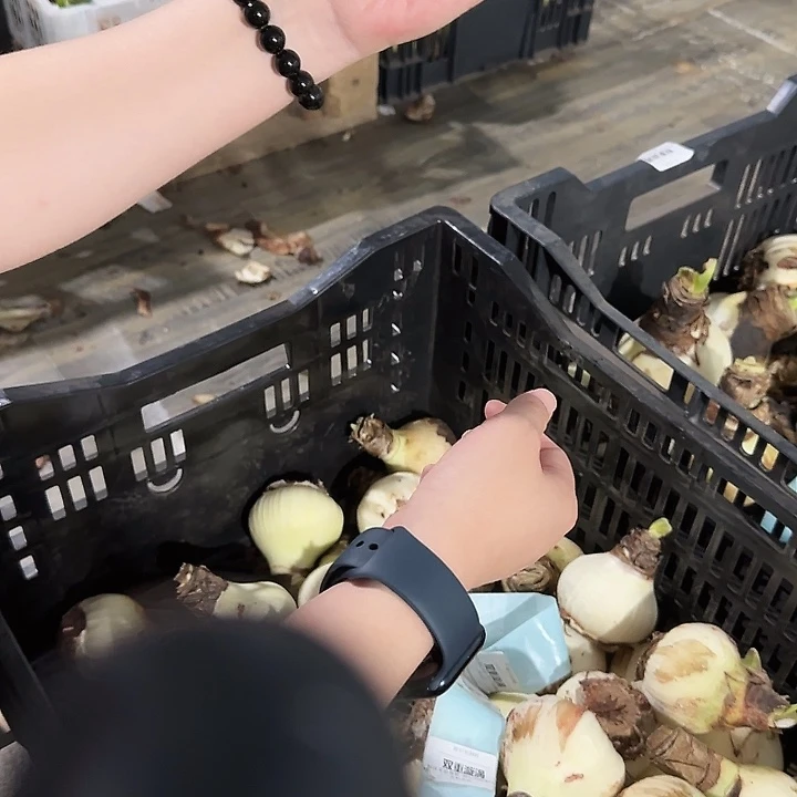 双重漩涡6公分左右丑球福利