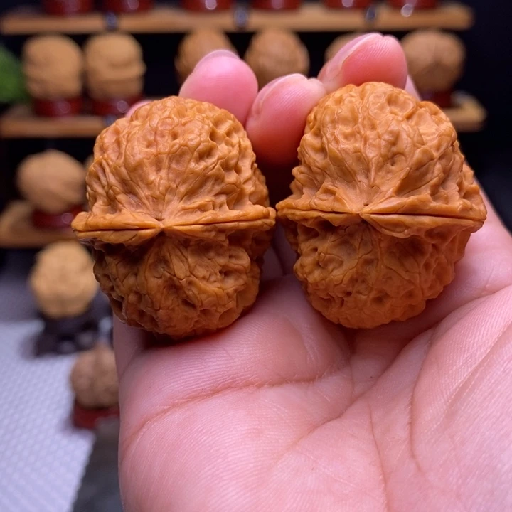 木质类云铁凤冠41号