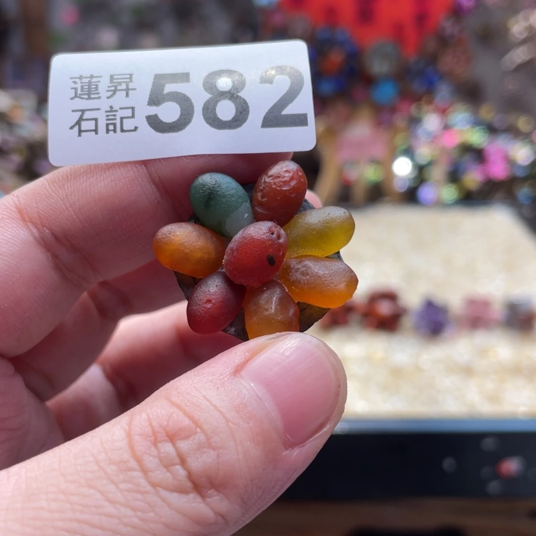 核桃木/黑胡桃（胡桃木）安****子582