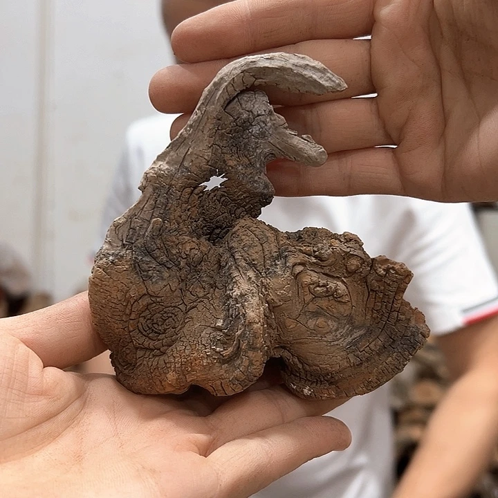 柏木随**缘我们都是好孩子呀我也