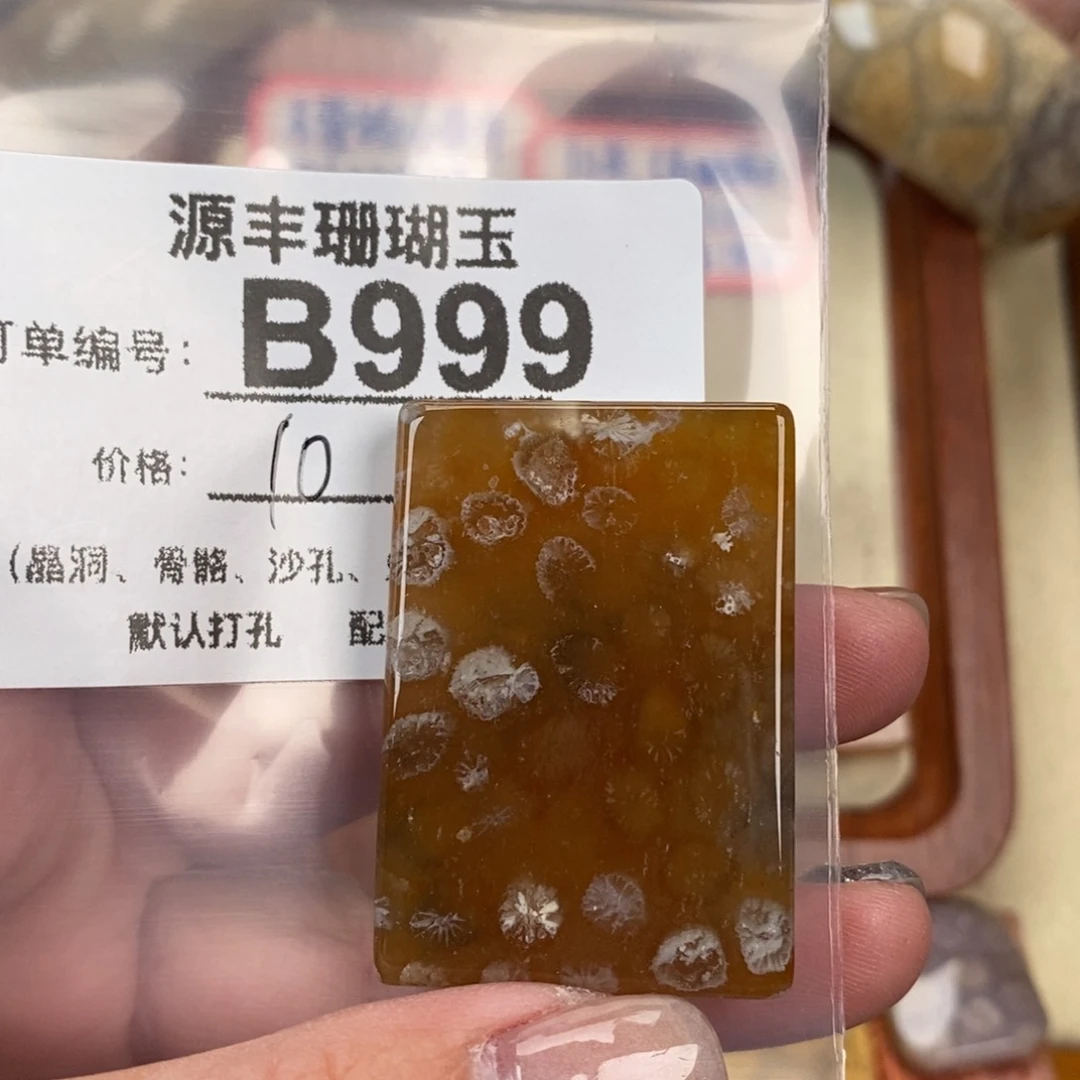 硅化玉颈饰未镶嵌J***R