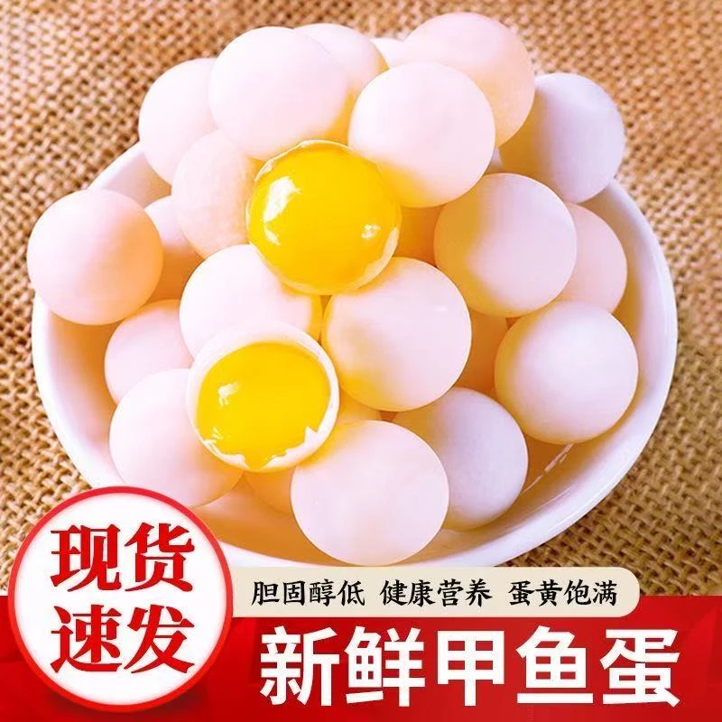 新店50枚甲鱼蛋顺丰包邮