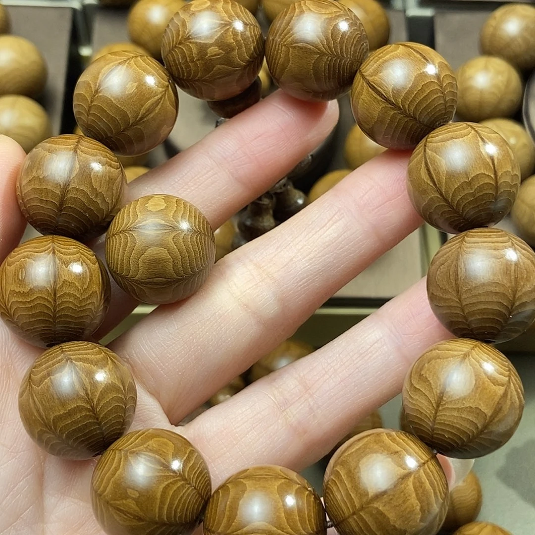 米***米六道木山西五台山