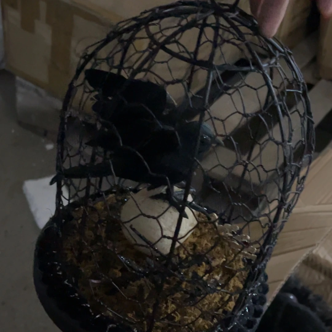 女***蛙有机玻璃摆件等各种