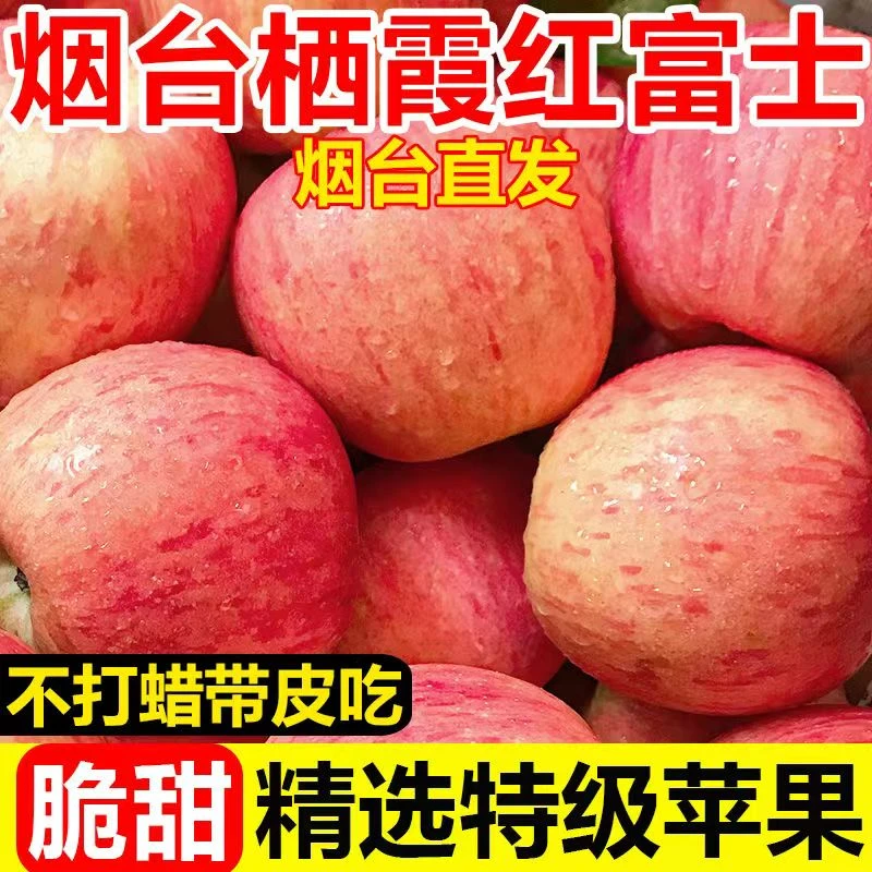 山东烟台栖霞红富士苹果脆甜多汁产地直发应季水果