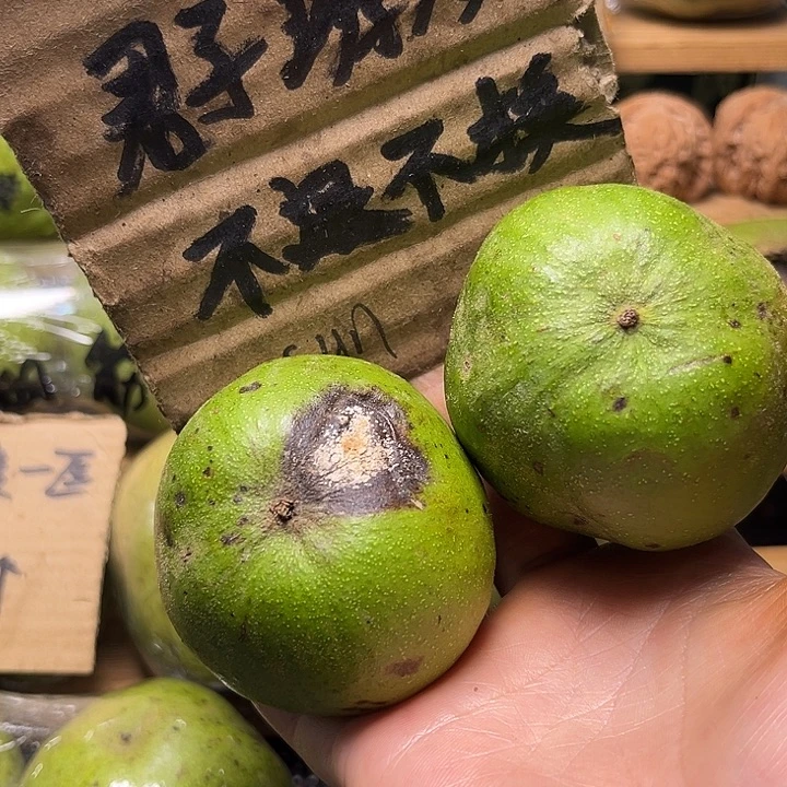 用***1蛤蟆头福利来袭活了