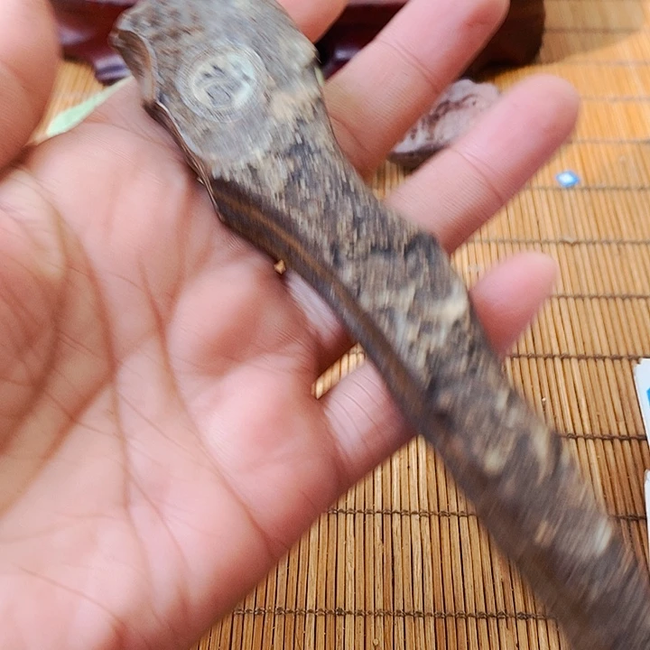 青***稞原石雕刻工艺品手把摆件