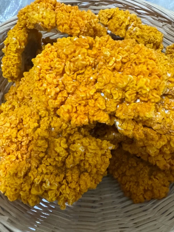 【滇缅源头山货】金耳