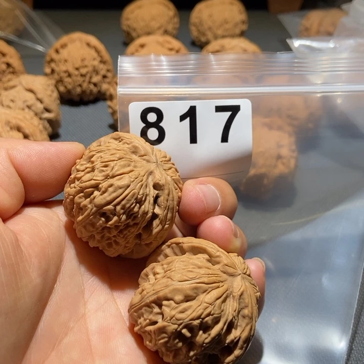 文玩核桃把件白狮子