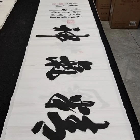 翰墨申国栋老师作品一副