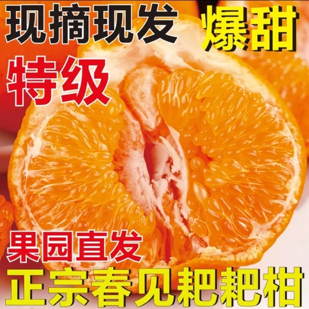 【四川耙耙柑】正宗四川直发春见耙耙柑应季水果不知火丑橘当季整箱