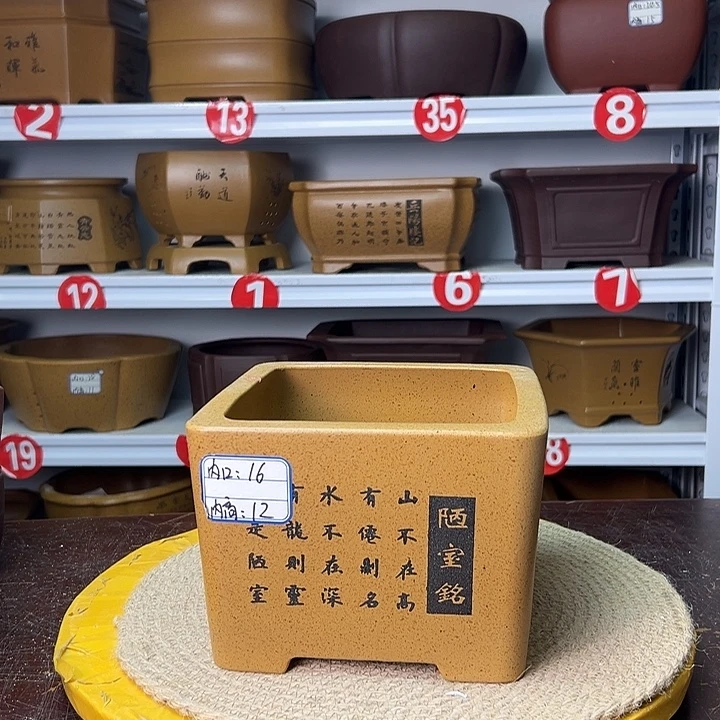 花盆紫砂你在一起