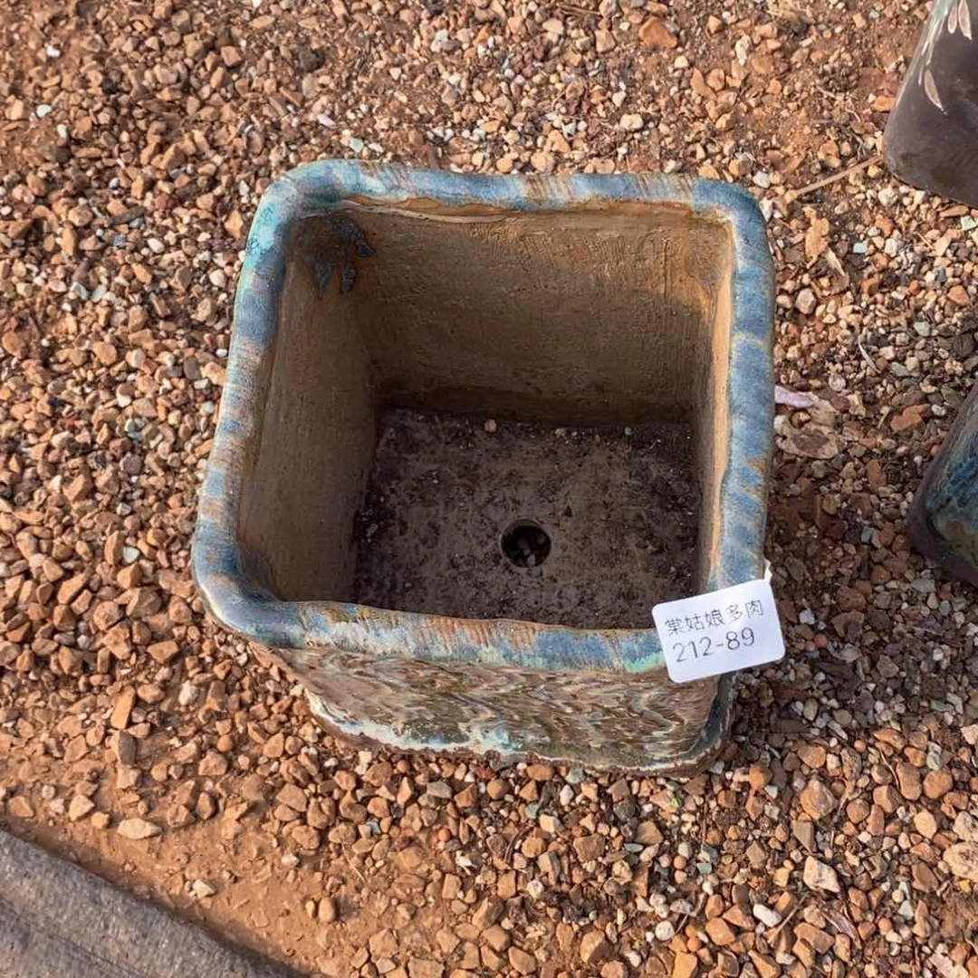 方**正89号多肉盆一个呀