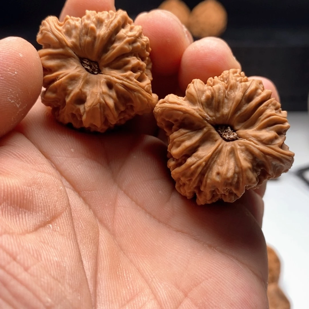 38全品凹南疆88888888888