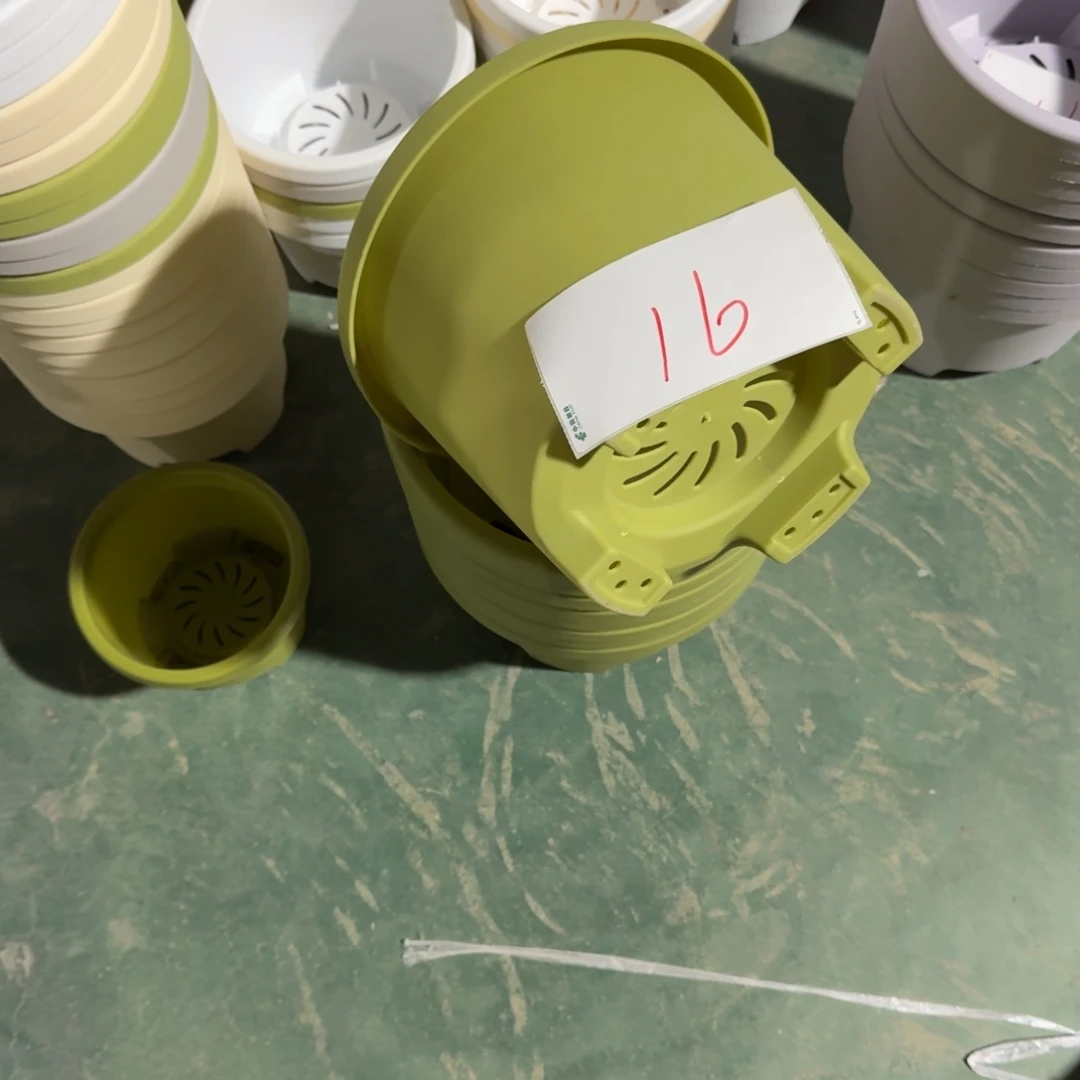 编号是16号的16号的