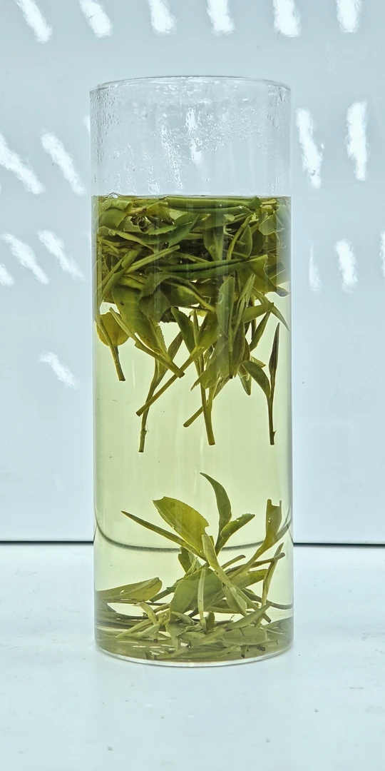 【2025年新茶】安吉原产地白茶高山茶口感鲜爽花香馥郁（B福）