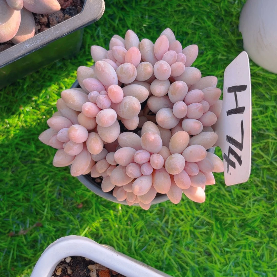 小**a74fghjjjjkkkkj