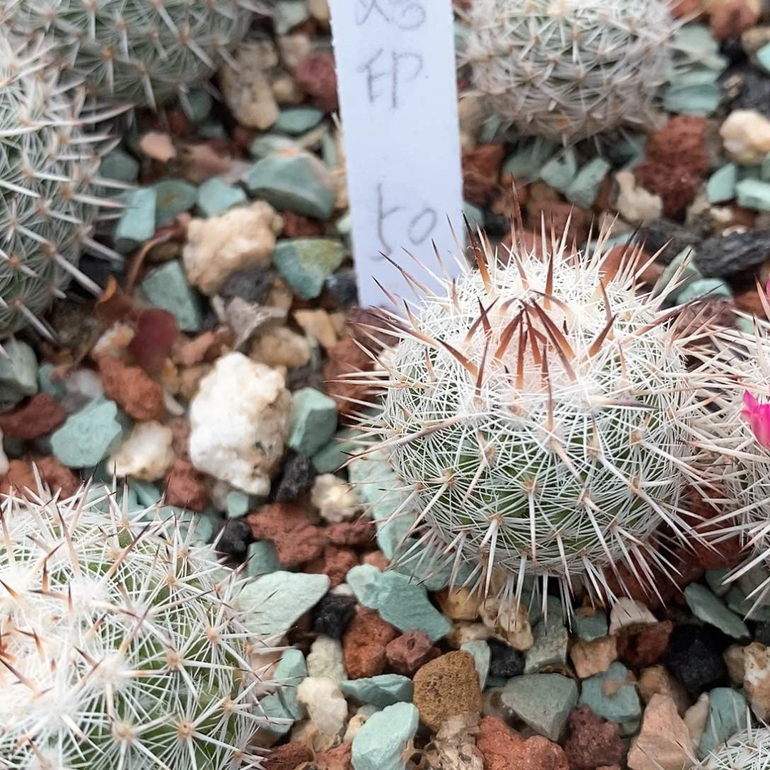 烙**岸土土土花花花花花花花花