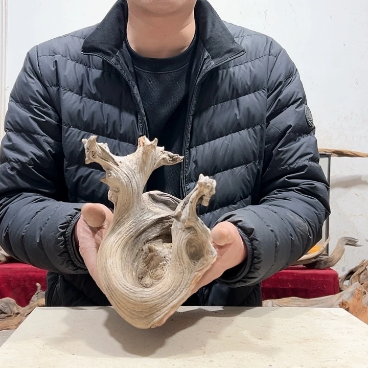 柏木郑**一我们的生活也