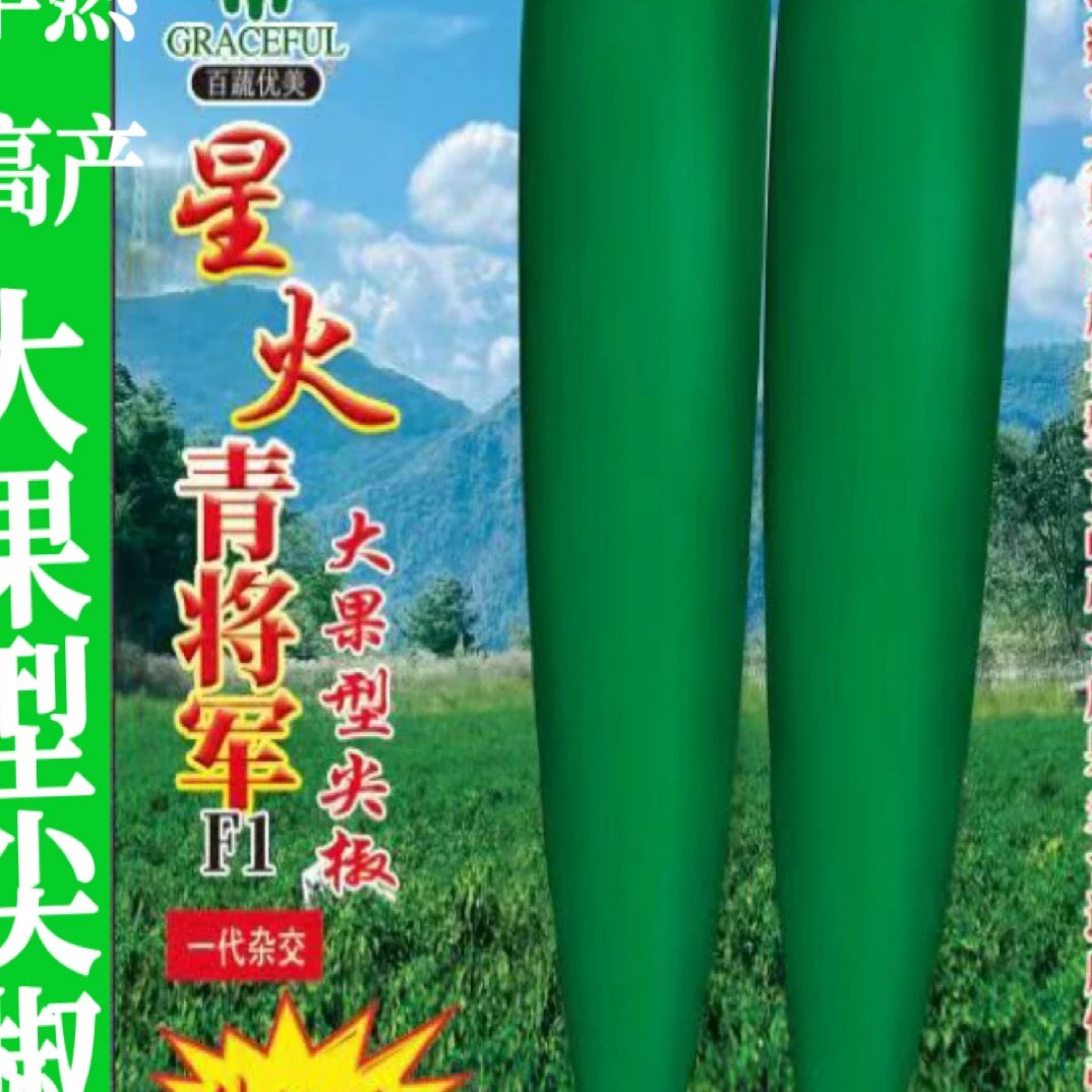 早熟大果型星火青将军F1辣椒种子肉厚耐贮运尖椒蔬菜种子
