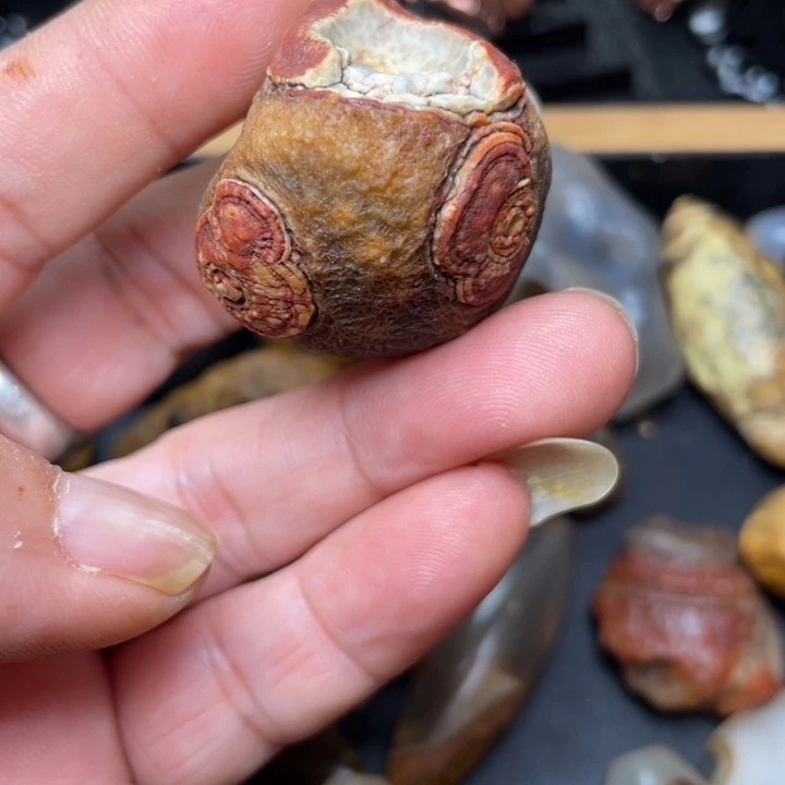 石材纯天然原石奇石282