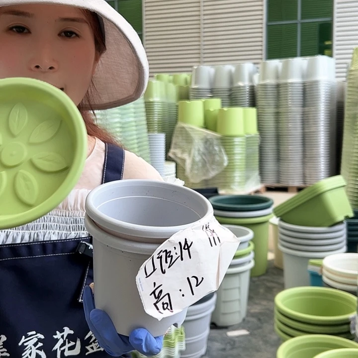 四季盆1#灰白色10个含托