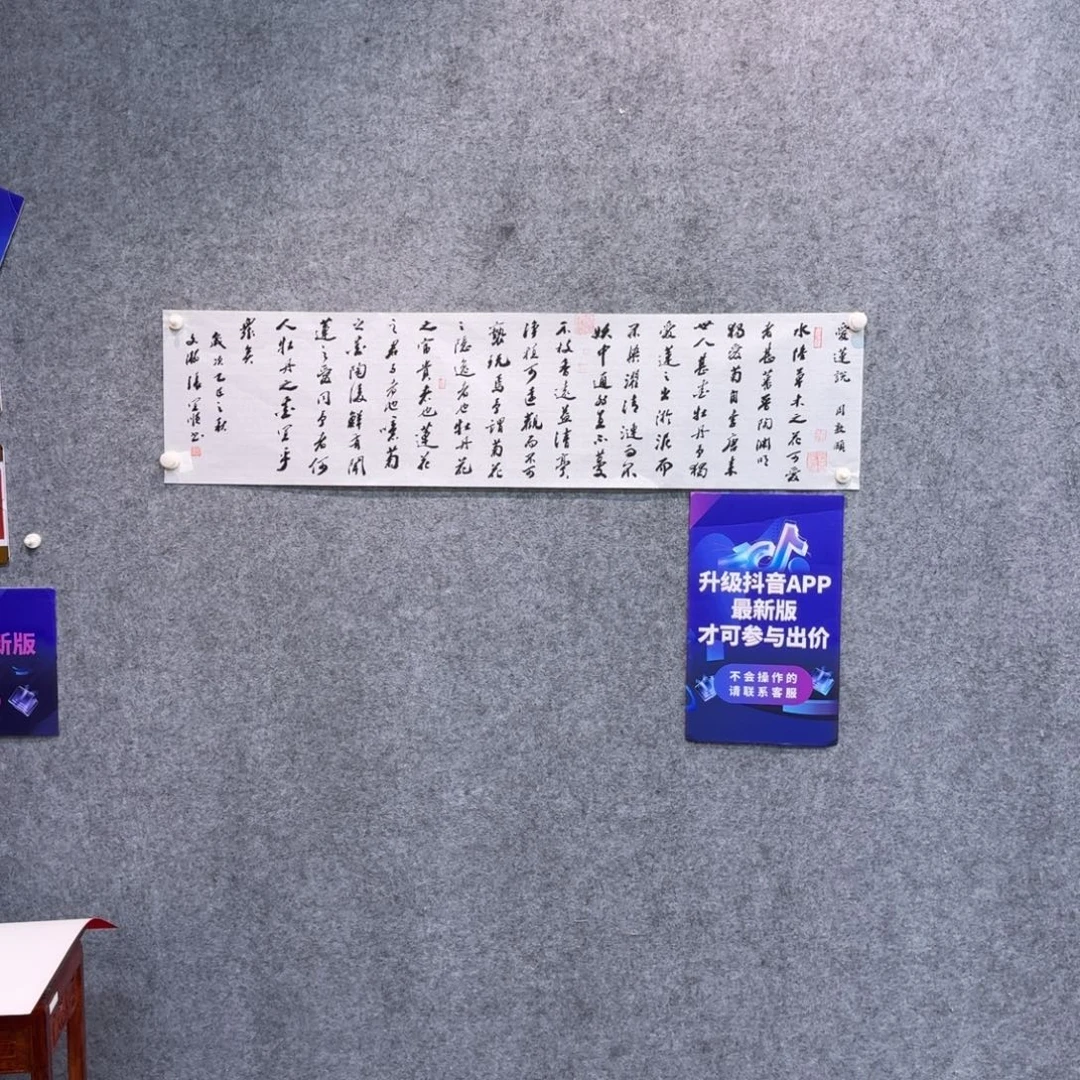 书法书法ZYS书法作品