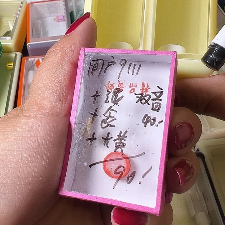 用***1蟋蟀哈哈哈哈哈哈哈哈哈哈哈