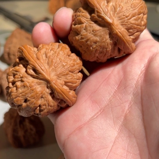 顽***主吊坠文玩核桃凤凰台