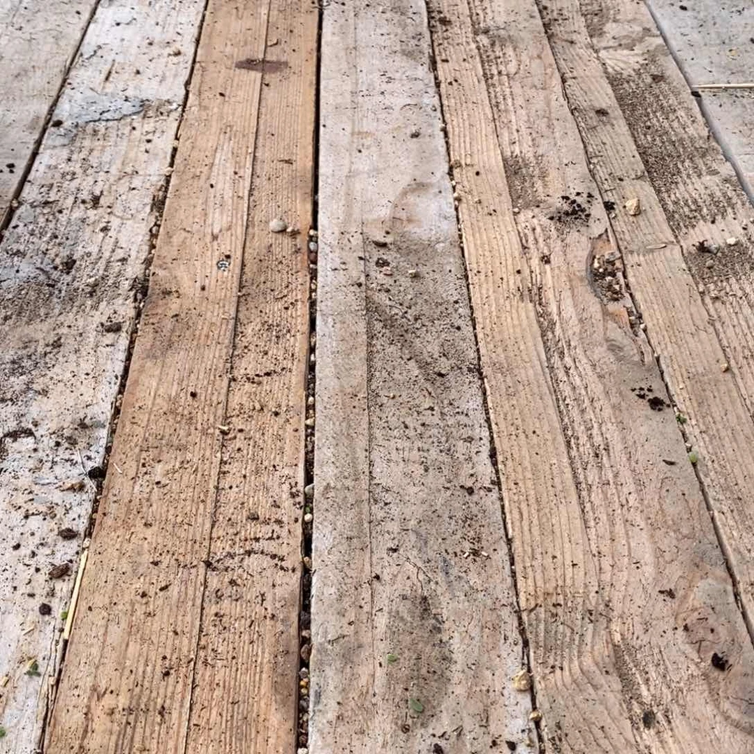 夏****光071寄养发货