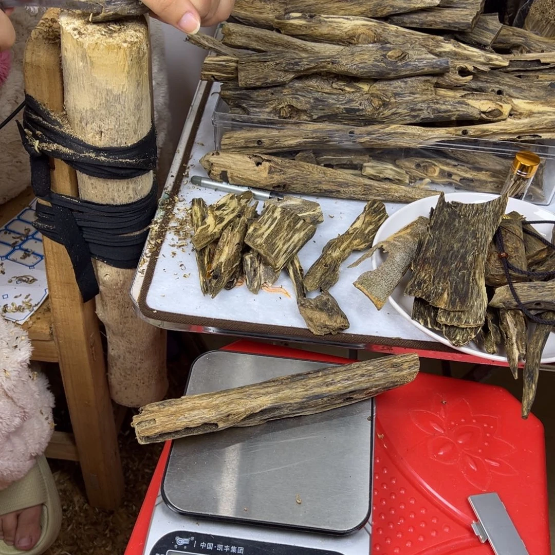 线香奇楠虫漏香47克