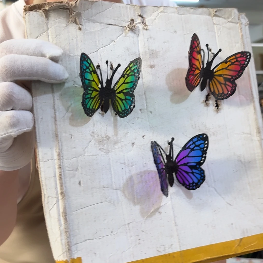 核桃木/黑胡桃（胡桃木）