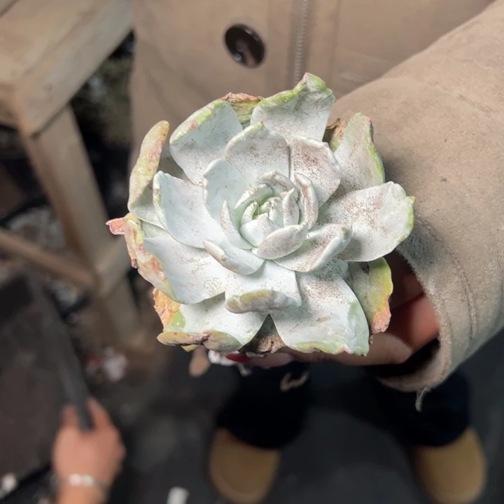 1986哈哈哈哈哈哈哈哈