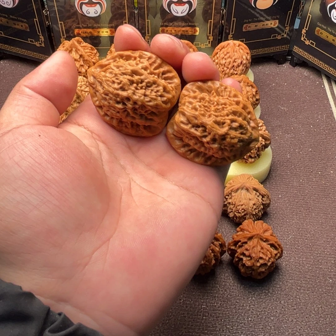 核桃金公子111111111