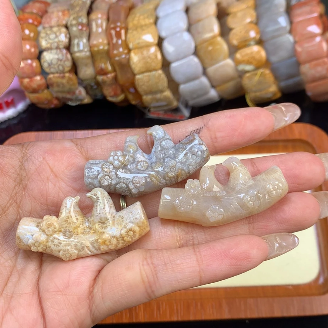 【闪购商品】颈饰未镶嵌硅化珊瑚（珊瑚玉）良**院