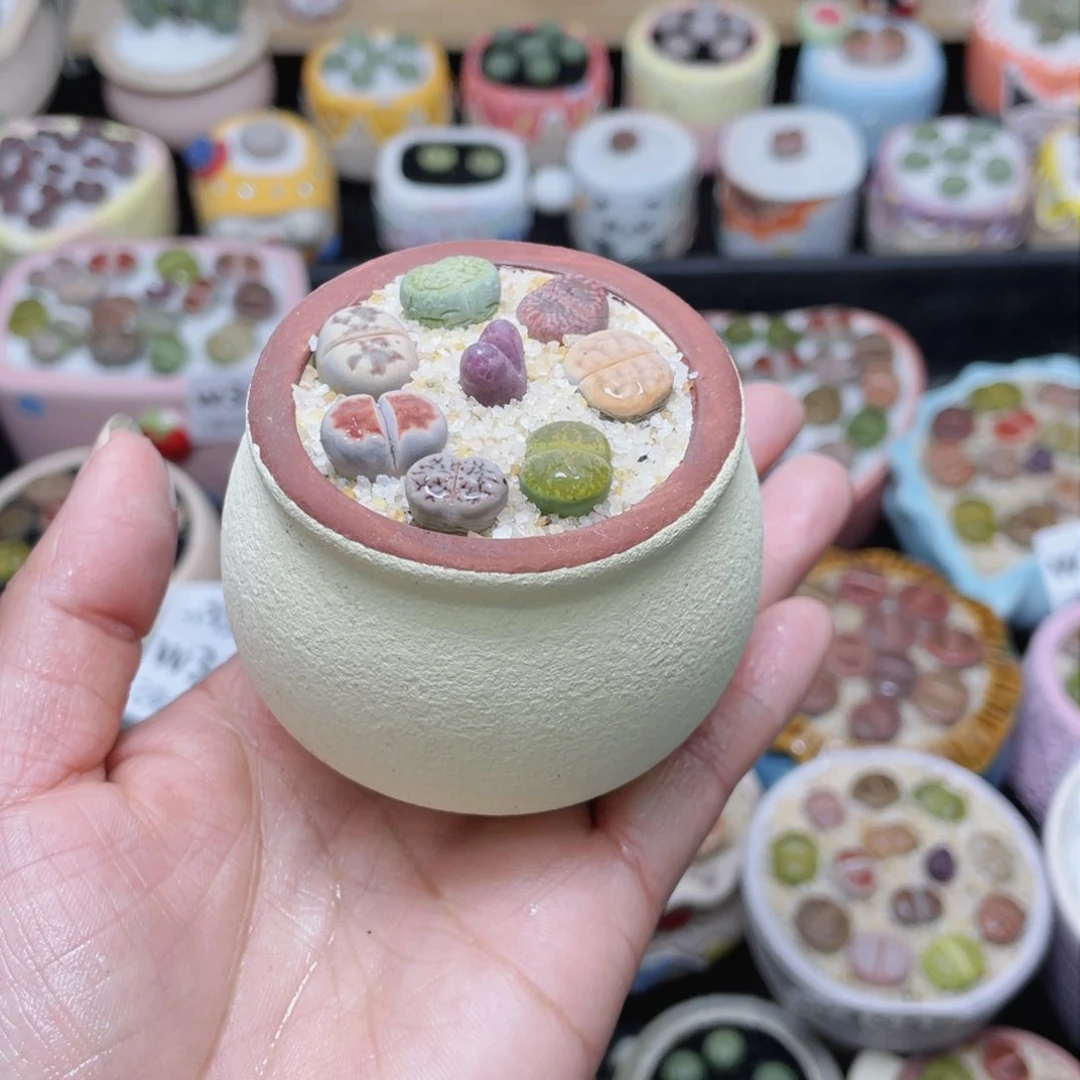 w3566 -零下地区拍保温箱-15支持寄养