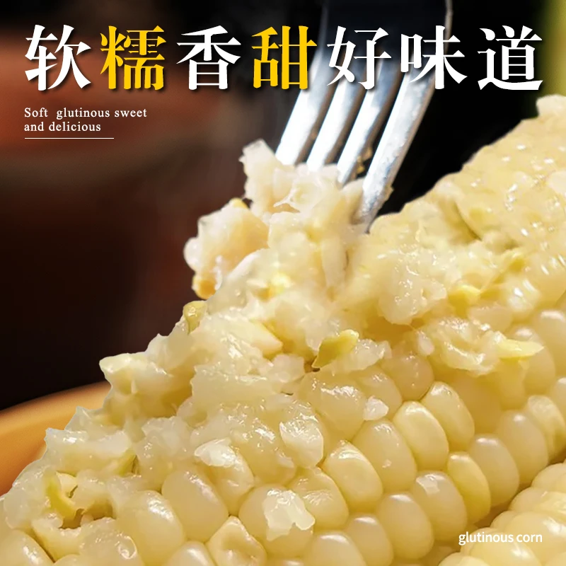 【东北白糯】甜黑软糯香甜粘水果烤红薯专用红薯